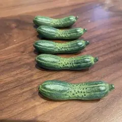 Item thumbnail for item 9db35186-7212-4798-a508-5f3d4882a5ee