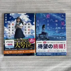 あの花が咲く丘で、君とまた出会えたら。あの星が降る丘で、君とまた出会いたい。小説