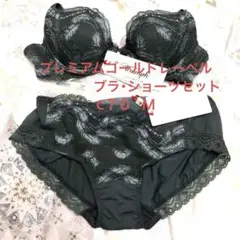トリンプ ブラショーツセット