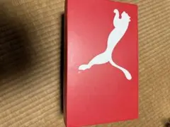 ユニセックス スマッシュ キャット SL ミュール スニーカー