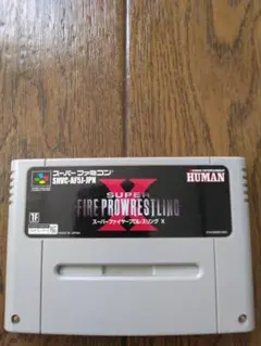 SUPER FIRE PRO WRESTLING X