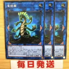 遊戯王 竜絶蘭 字レア 3枚セット　ピヴォ