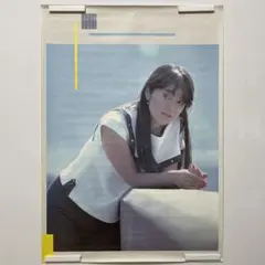 岩崎宏美 ポスター 昭和 アイドル ビクター