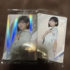 Item thumbnail for item 6c1efcea-9d44-4e4b-9a9b-9727388e326f