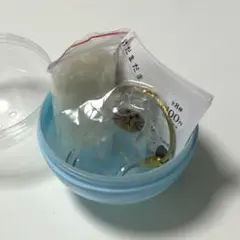 【正規品・新品】うちの子のけだまだま シャム