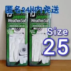 Fjウエザーソフ25cm白2枚セット フットジョイゴルフグローブ