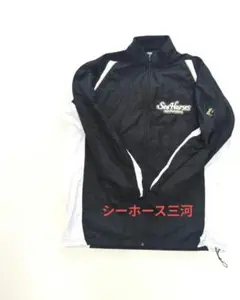 Item thumbnail for item 2c8edd0b-7cfc-4516-b969-13d8ae62cb9b