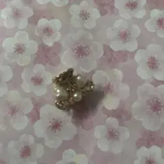 ★ミニバンスクリップ★