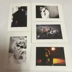 the GazettE ポストカード　ART BOX REITA RUKI