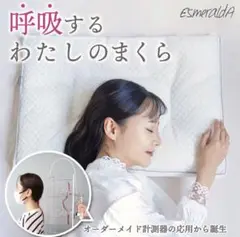 ESmeralda 通気性ハニカムメッシュ枕