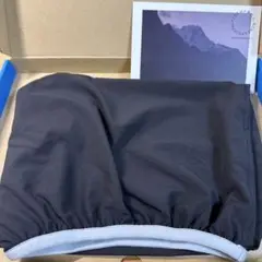 Item thumbnail for item 78dbe373-278c-4c38-b47c-cc3afca6285f