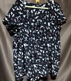 Item thumbnail for item 8a8906d2-0338-4f67-a886-362659479278