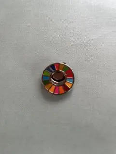 新品　SDGS バッジ　マグネット式