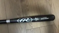 Item thumbnail for item 96203fd0-af11-4e19-a40e-7ea82da3a5ec