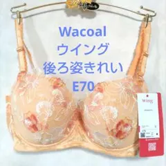 Item thumbnail for item 3a7f74f9-24cd-43ff-8ecf-cad84bd1ed5f