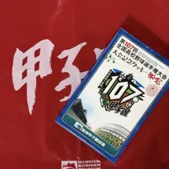 甲子園プリントクッキー 18枚入り