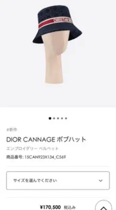 Dior ディオール 完売帽子 バケハ 新品未使用 定価170,500円