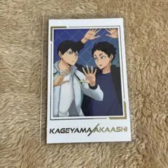 ハイキュー キャラポトレ 影山飛雄＆赤葦京治
