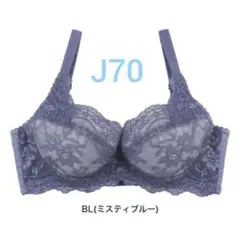 アンテシュクレ intesucre ブラジャー J70 ミスティブルー