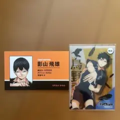 影山飛雄 名刺 クリアカード セット売り