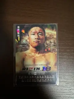 RIZIN ポテト スティック スナック RIZIN.18 No.05