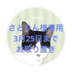 miu miu ナッパクリスタル カメオ