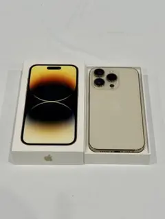 Item thumbnail for item dfbba0d0-88dd-4087-94cc-486a2e756a8a