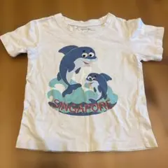 SINGAPORE イルカ Tシャツ Sサイズ