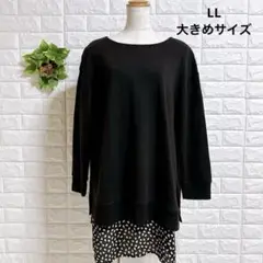 Item thumbnail for item f818ee06-8a9b-46a9-9dcc-c0950112c6e8
