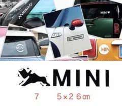 Item thumbnail for item fa95c6d2-fe77-43c4-8b62-7340ecb59598