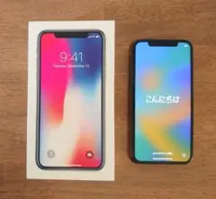 Apple iPhone X 256GB スペースグレー