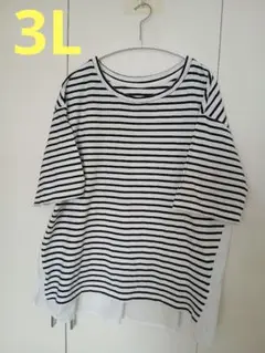 ストライプ 半袖Tシャツ フレアデザイン 3L
