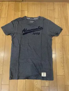 Abercrombie & Fitch マッスルフィット Tシャツ S グレー