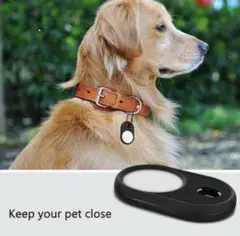 Item thumbnail for item 504d9804-4481-4da0-ba94-6035e6a787ae