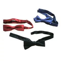 Item thumbnail for item 86dfb059-1ef4-477e-9ab4-0c09fc0c3b47