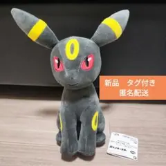 新品　タグ付き　ブラッキー　ぬいぐるみ