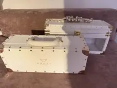 ✨美品✨エンジェルシャンパン　ブリュット ロゼ ホワイト　ケース セット