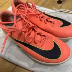 Item thumbnail for item 895bb9bd-ab32-4f3b-aec5-7754f7af30b1