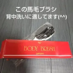美容全身ボディブラシ