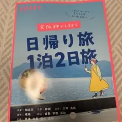savvy 雑誌