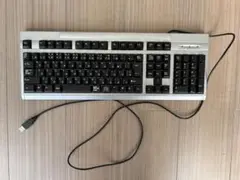 【リモートワークに】USB接続 日本語配列 有線キーボード