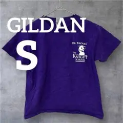 美品❣️GILDAN 【S】紫色 Tシャツ コットン　人気　バックプリント