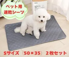 Item thumbnail for item dd1c62cf-1380-4616-85b8-3b7dbd27b4e3