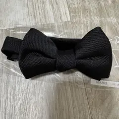 Item thumbnail for item 34f13b88-4a5a-45df-87a9-ac29feae8c6e