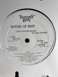 HOUSE OF PAIN / JUMP AROUND 12インチレコード