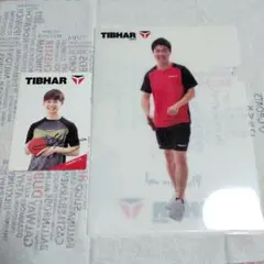 TIBHAR 櫻井勇治選手 直筆サイン入りカード＆TIBHAR クリアファイル