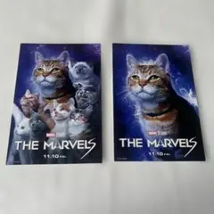 THE MARVELS マーベルズ　ポストカード　ニャーベルズ⁈