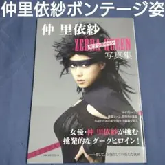 Item thumbnail for item fb6082cd-6fc6-497f-8b47-f3973cfbafd9