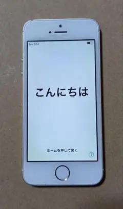 Apple iPhone 5s ゴールド 32GB 本体 docomo