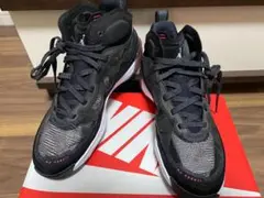 Item thumbnail for item 50c38865-bc7b-46dd-9db9-29a5e43f51d1